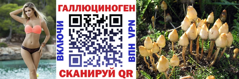 Галлюциногенные грибы Psilocybe  omg онион  Шлиссельбург 