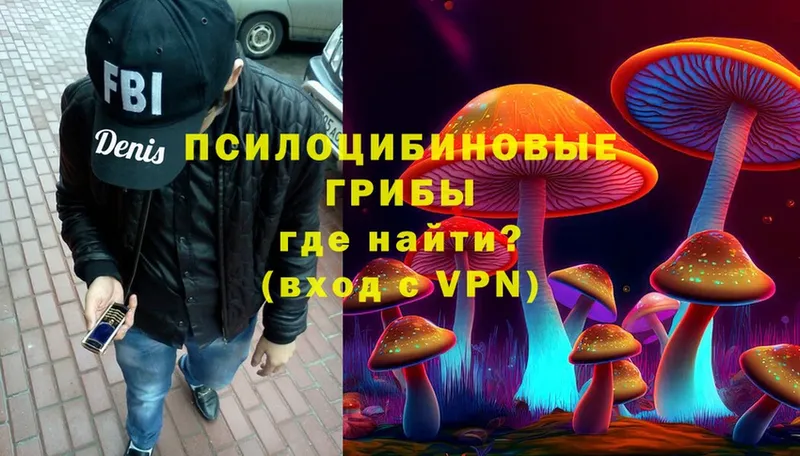 Псилоцибиновые грибы Magic Shrooms  Шлиссельбург 